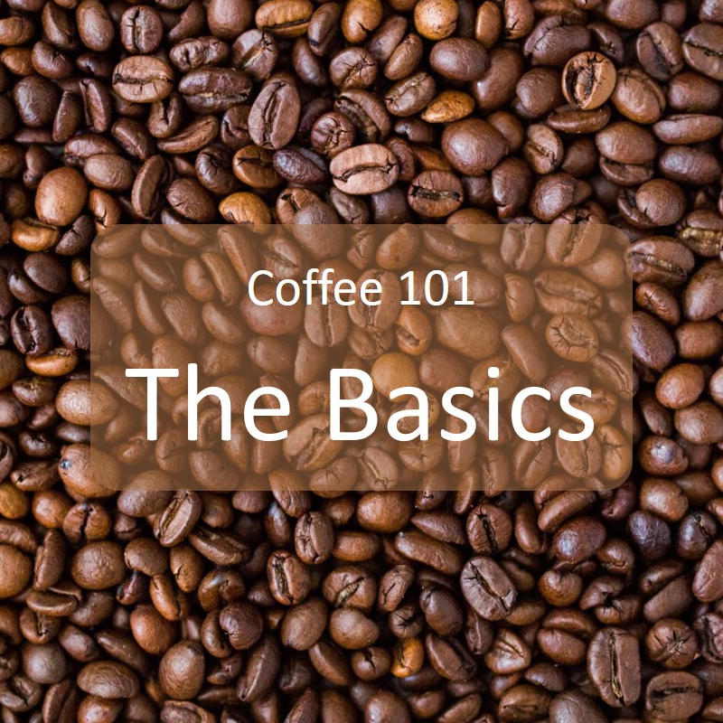 The Basics