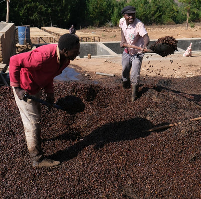 Tanzania: Iloma Natural