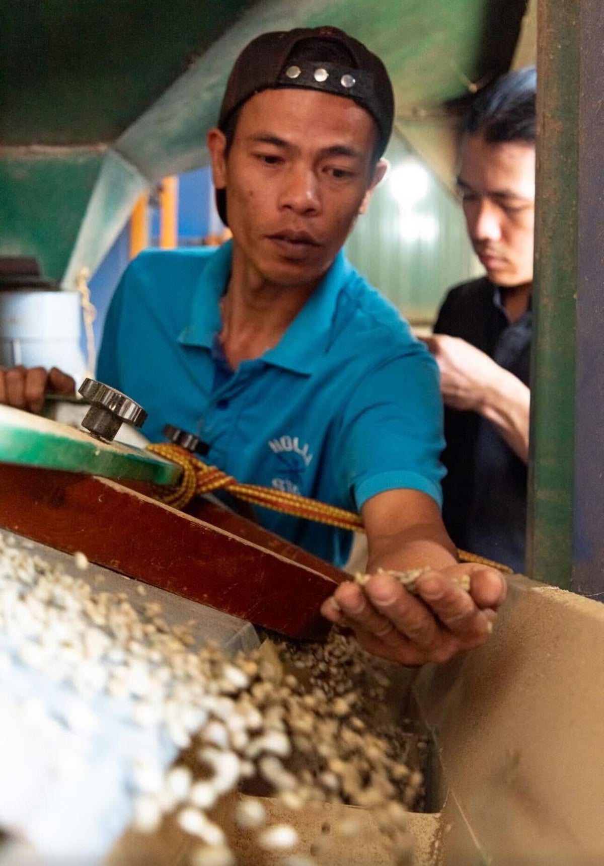 Dalat 86, Vietnam - Honey Anaerobic