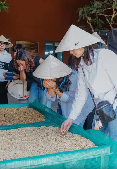 Dalat 86, Vietnam - Honey Anaerobic