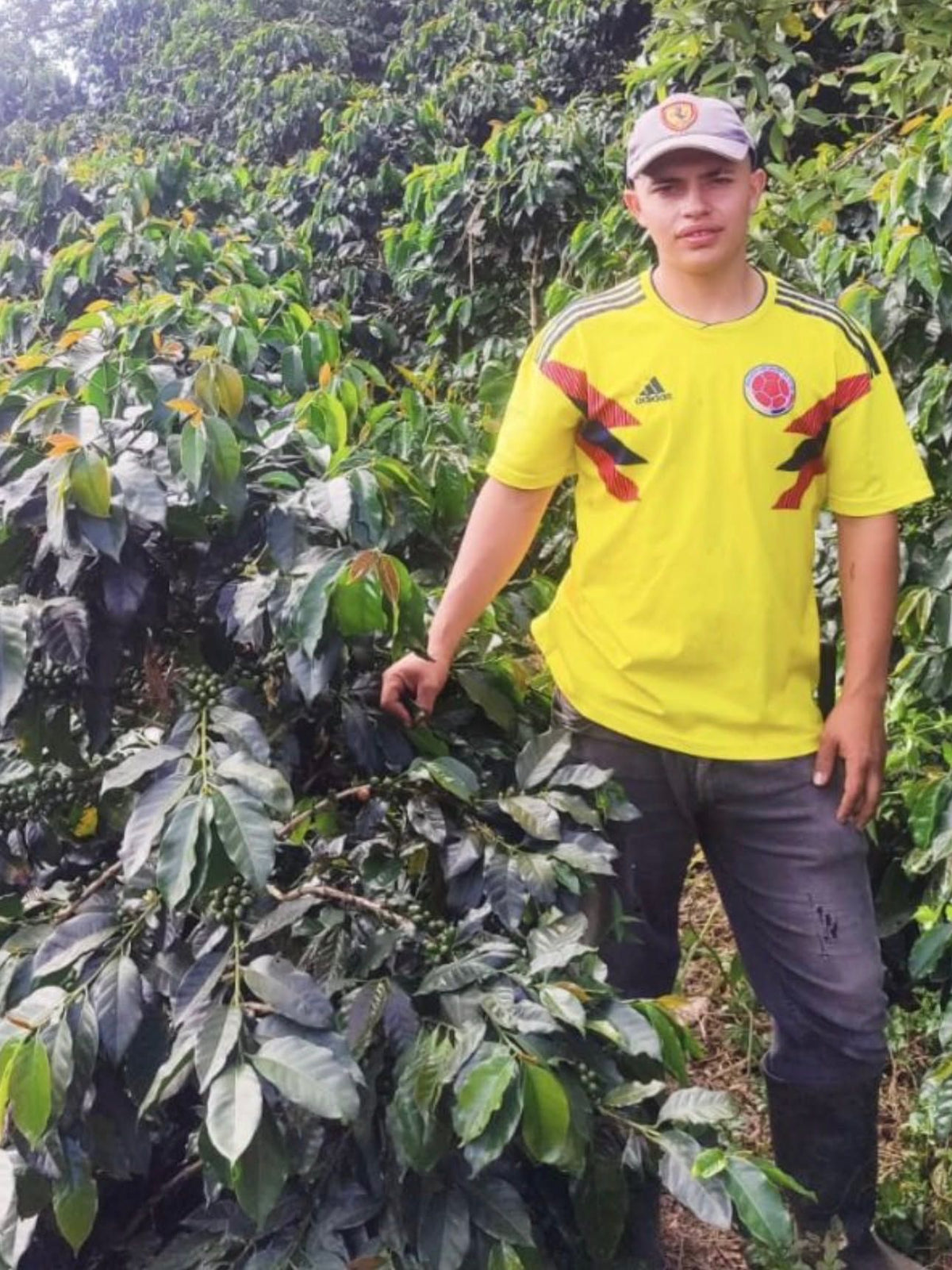 Colombia La Sonora | Limited Release Gesha